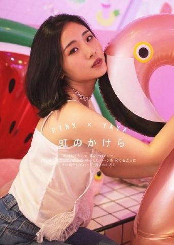 间谍过家家第三季